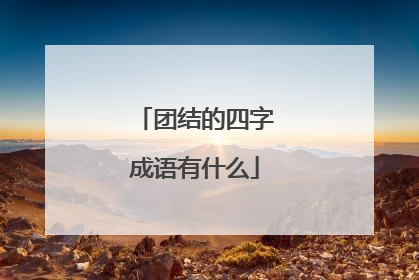 团结的四字成语有什么