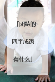团结的四字成语有什么