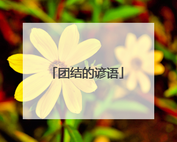 团结的谚语