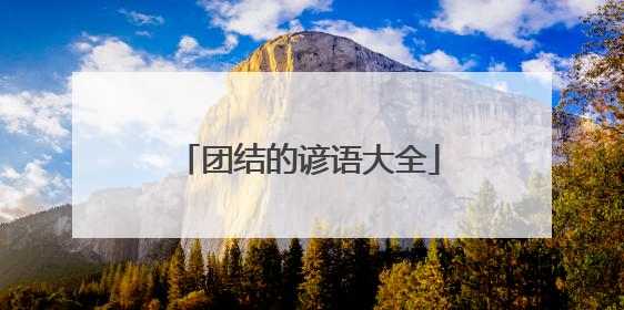 团结的谚语大全