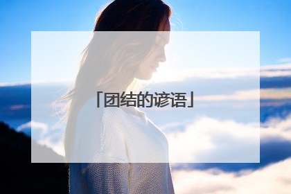 团结的谚语