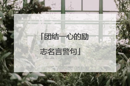 团结一心的励志名言警句