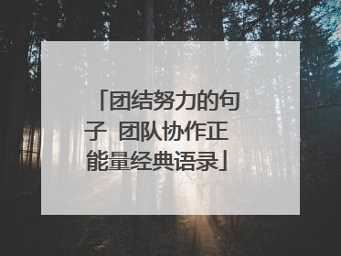 团结努力的句子 团队协作正能量经典语录