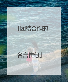 团结合作的名言佳句