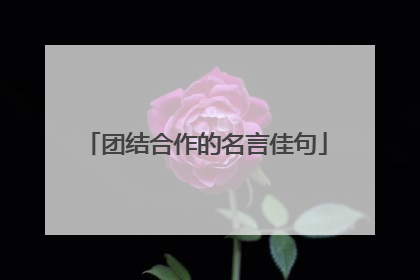 团结合作的名言佳句