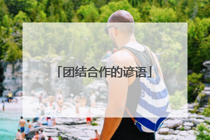 团结合作的谚语
