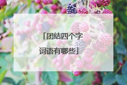 团结四个字词语有哪些