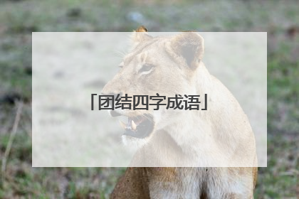 团结四字成语