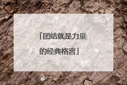 团结就是力量的经典格言