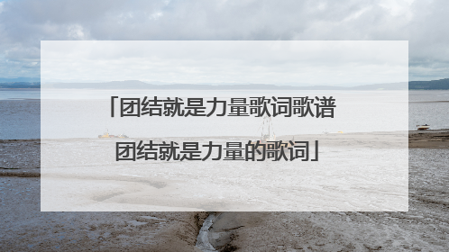 团结就是力量歌词歌谱 团结就是力量的歌词