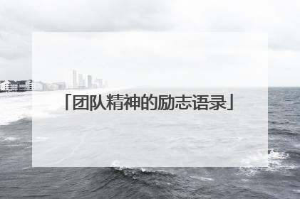 团队精神的励志语录