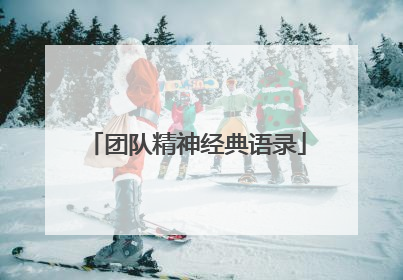 团队精神经典语录