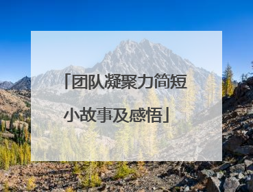 团队凝聚力简短小故事及感悟