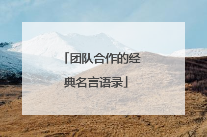 团队合作的经典名言语录