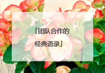 团队合作的经典语录