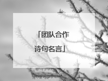 团队合作诗句名言