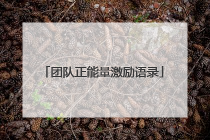 团队正能量激励语录