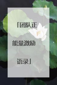 团队正能量激励语录