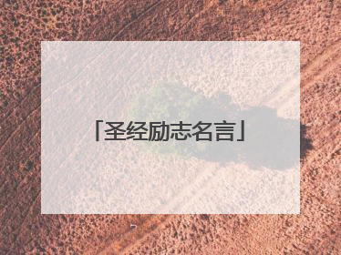 圣经励志名言