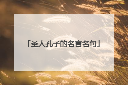 圣人孔子的名言名句