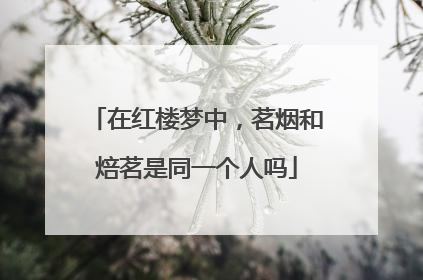 在红楼梦中,茗烟和焙茗是同一个人吗