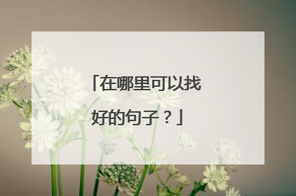 在哪里可以找好的句子?