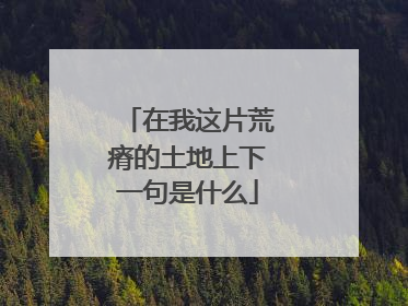 在我这片荒瘠的土地上下一句是什么