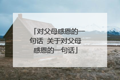 对父母感恩的一句话 关于对父母感恩的一句话