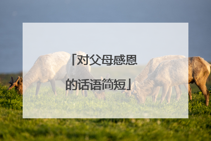 对父母感恩的话语简短