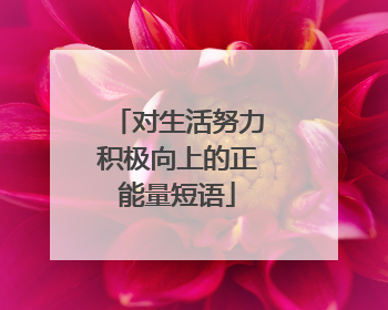 对生活努力积极向上的正能量短语