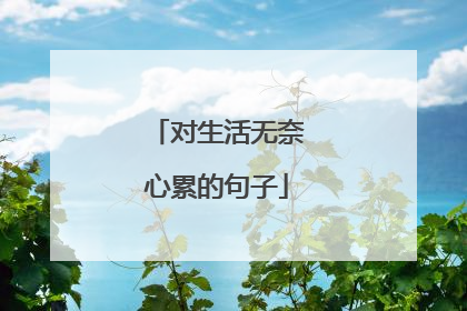 对生活无奈心累的句子