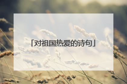 对祖国热爱的诗句