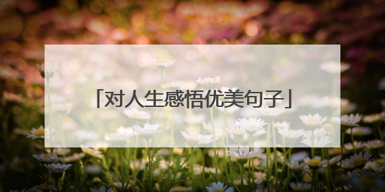 对人生感悟优美句子