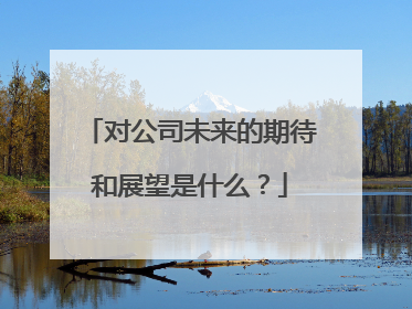对公司未来的期待和展望是什么?