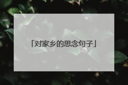 对家乡的思念句子