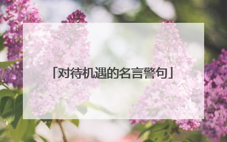 对待机遇的名言警句