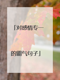 对感情专一的霸气句子
