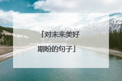 对未来美好期盼的句子