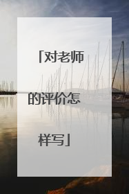 对老师的评价怎样写