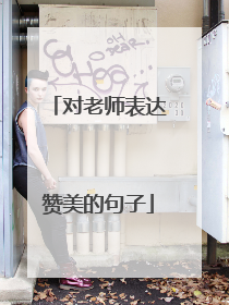 对老师表达赞美的句子