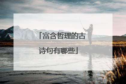 富含哲理的古诗句有哪些