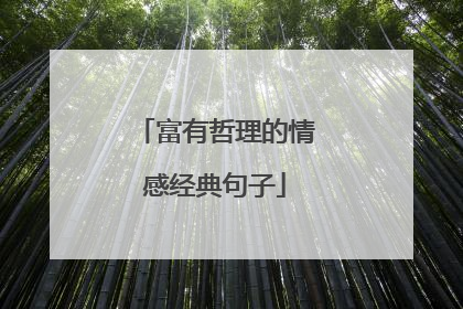 富有哲理的情感经典句子