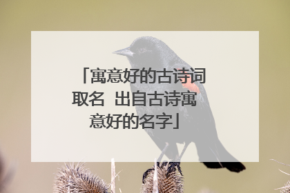 寓意好的古诗词取名 出自古诗寓意好的名字