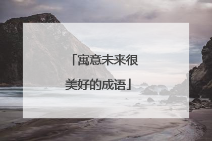 寓意未来很美好的成语