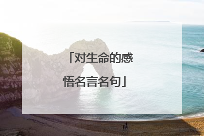 对生命的感悟名言名句