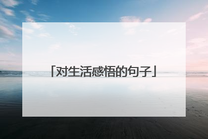 对生活感悟的句子