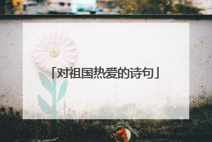 对祖国热爱的诗句