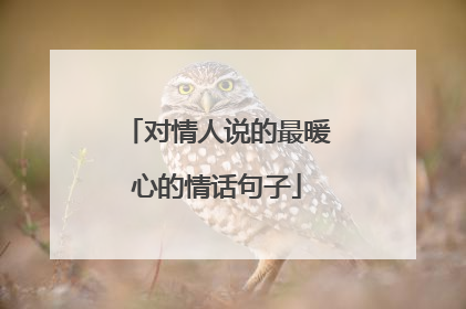 对情人说的最暖心的情话句子
