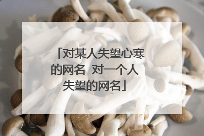 对某人失望心寒的网名 对一个人失望的网名