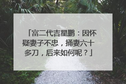 富二代吉星鹏:因怀疑妻子不忠,捅妻六十多刀,后来如何呢?